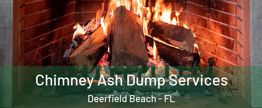  Chimney Ash Dump Services Deerfield Beach - FL