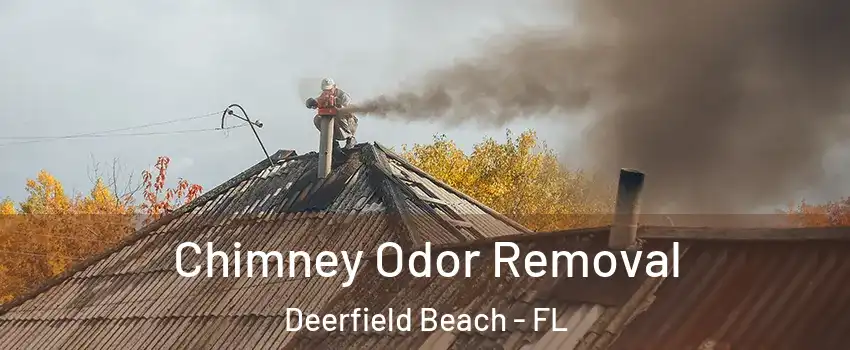  Chimney Odor Removal Deerfield Beach - FL