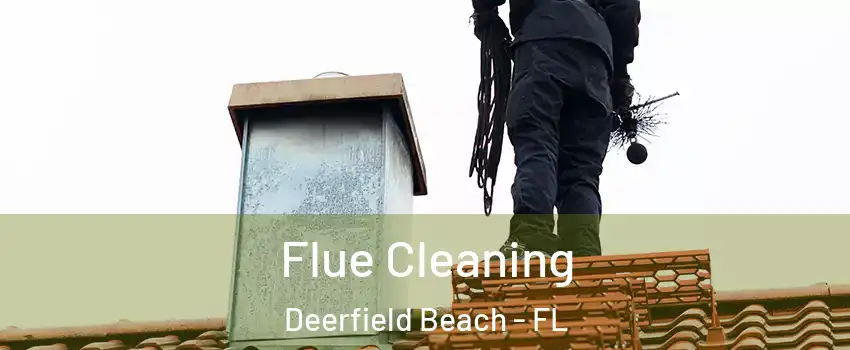  Flue Cleaning Deerfield Beach - FL