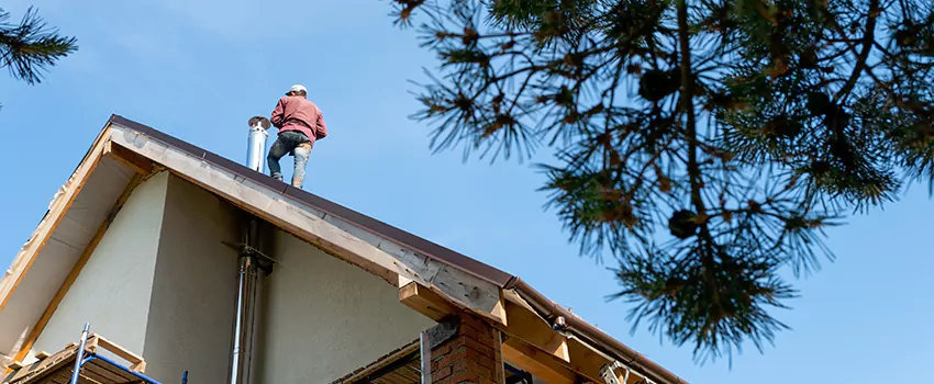 Birds Removal Contractors from Chimney in Deerfield Beach, FL