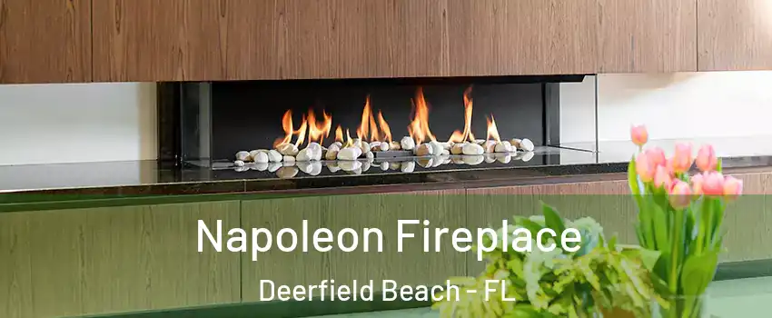  Napoleon Fireplace Deerfield Beach - FL